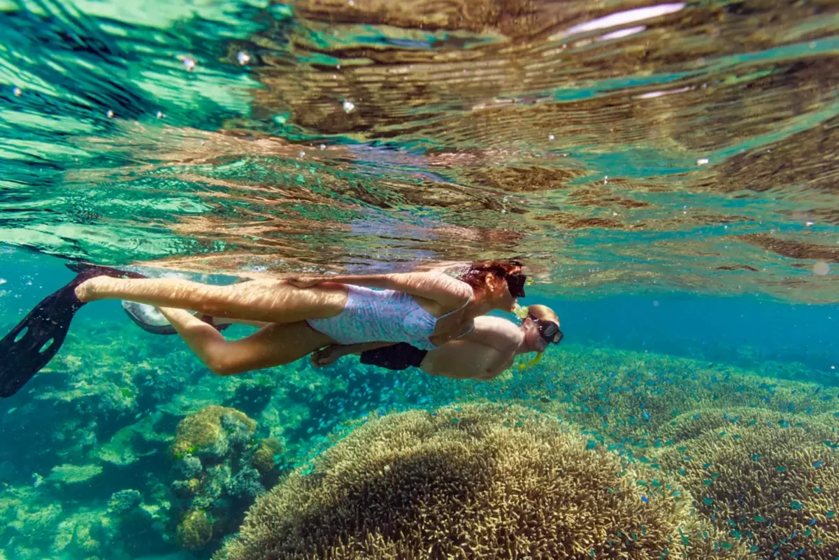 Unique Coral Reef Conservation Experiences for Eco-conscious Travelers