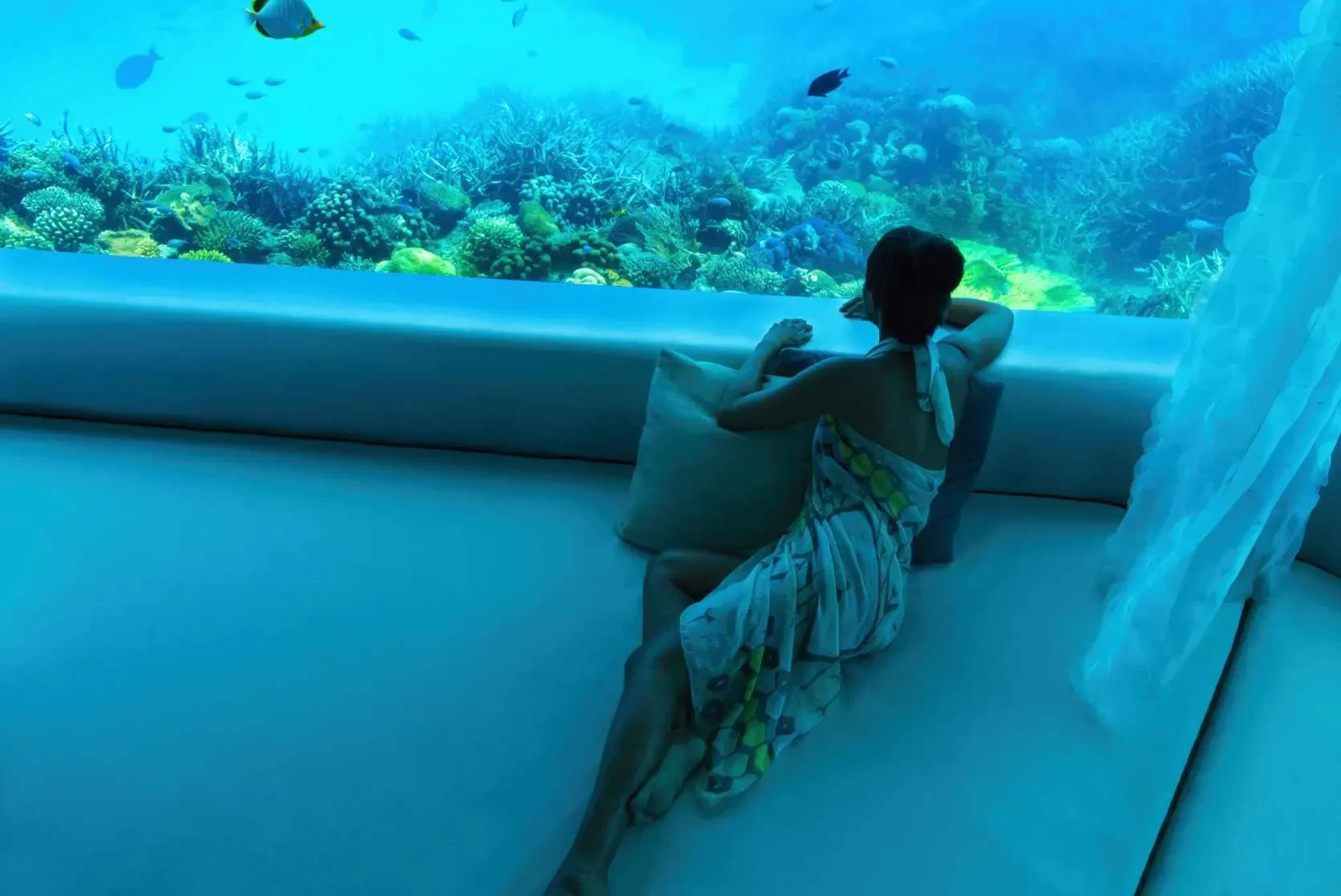 Exploring Underwater Hotels Around the Globe: A Unique Travel Experience