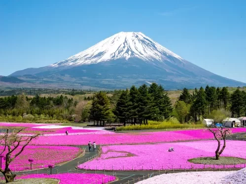 Visiting Mount Fuji in Japan: A Complete Travel Guide