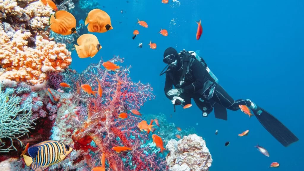 Explore the Best Scuba Diving Destinations Worldwide for Unforgettable Underwater Adventures