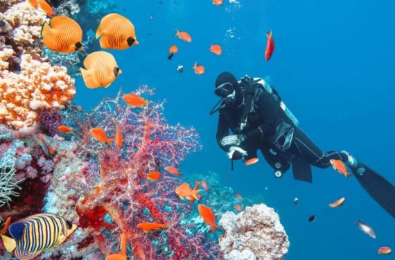 Explore the Best Scuba Diving Destinations Worldwide for Unforgettable Underwater Adventures