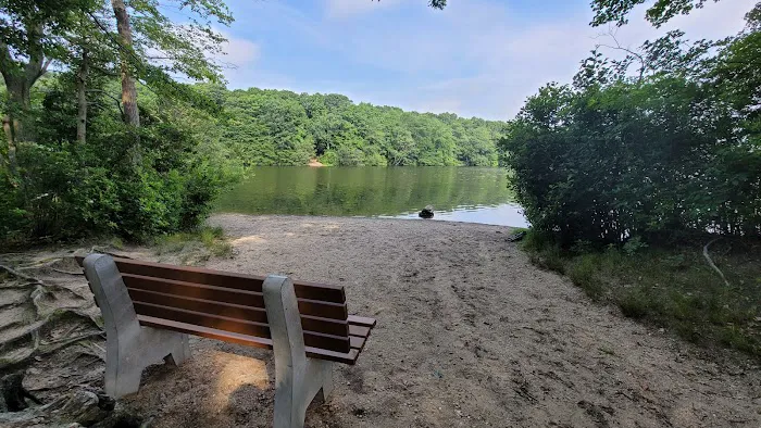 Blydenburgh Dog Park Area Picture 1