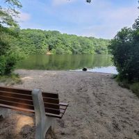 Blydenburgh Dog Park Area ico