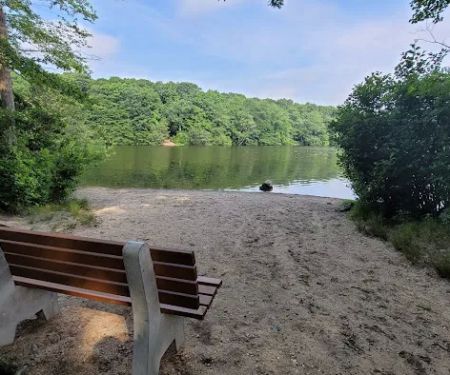 Blydenburgh Dog Park Area