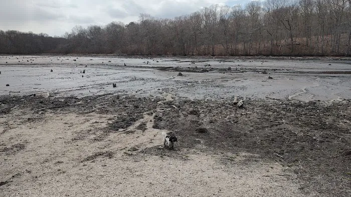 Blydenburgh Dog Park Area Picture 3