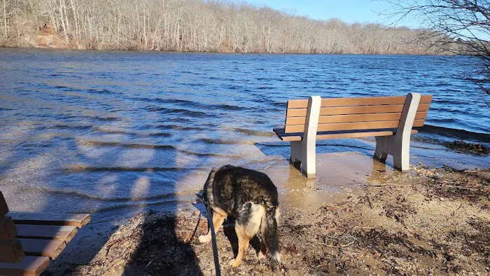 Blydenburgh Dog Park Area Picture 7