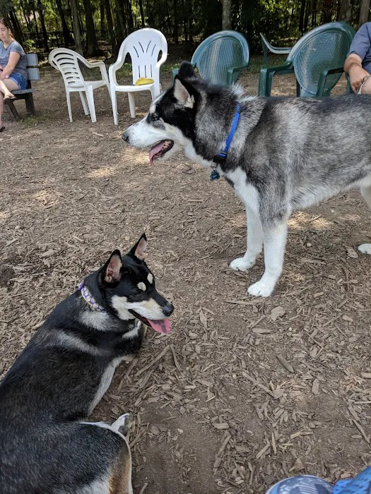 Blydenburgh Dog Park Area Picture 5