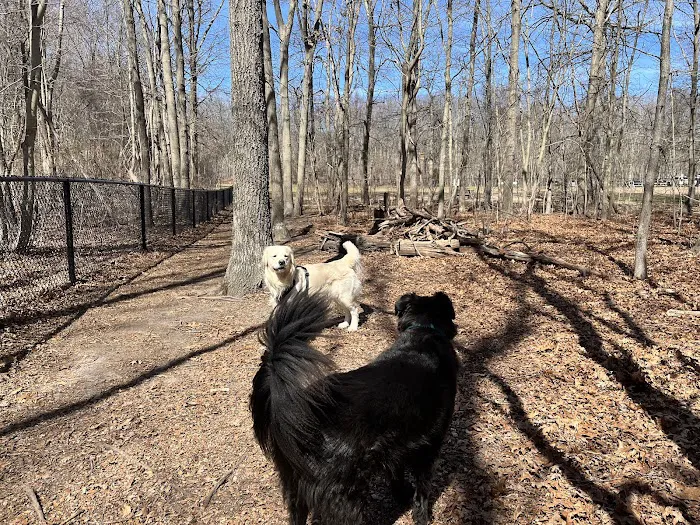 Blydenburgh Dog Park Area Picture 4