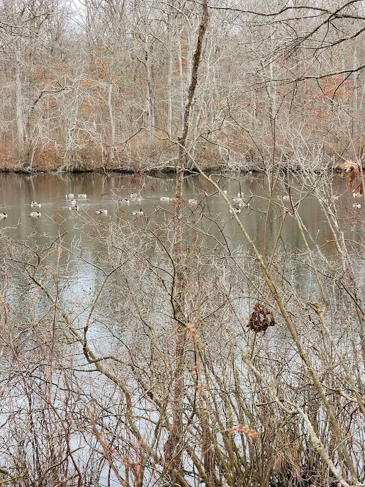 Blydenburgh Dog Park Area Picture 10