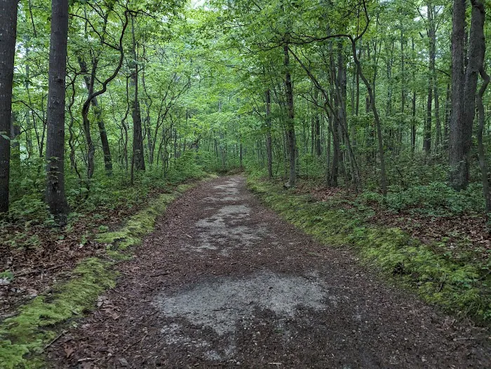 Blydenburgh County Park Picture 2