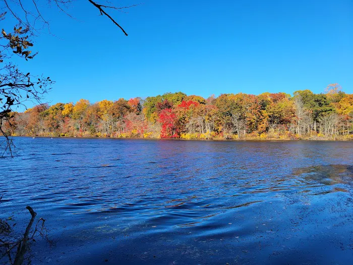 Blydenburgh County Park Picture 3