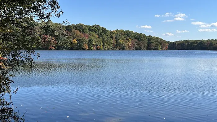 Blydenburgh County Park Picture 4