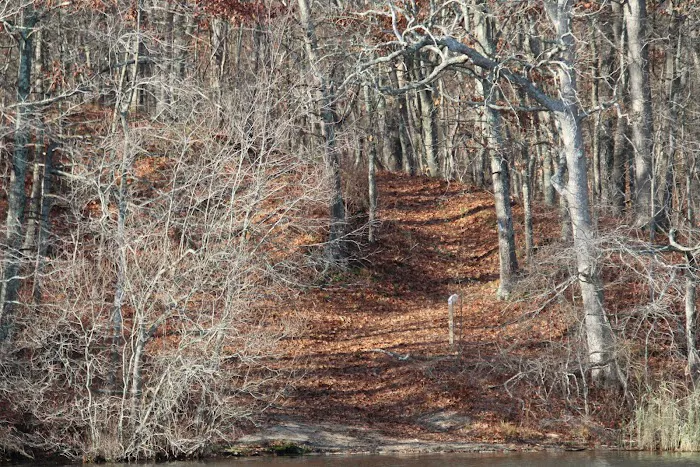 Blydenburgh County Park Picture 7