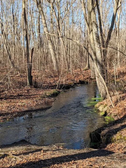 Blydenburgh County Park Picture 9