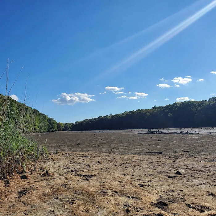Blydenburgh County Park Picture 8