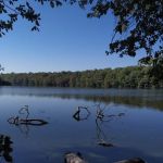 Greenbelt Trail parking, Blydenburgh County Park