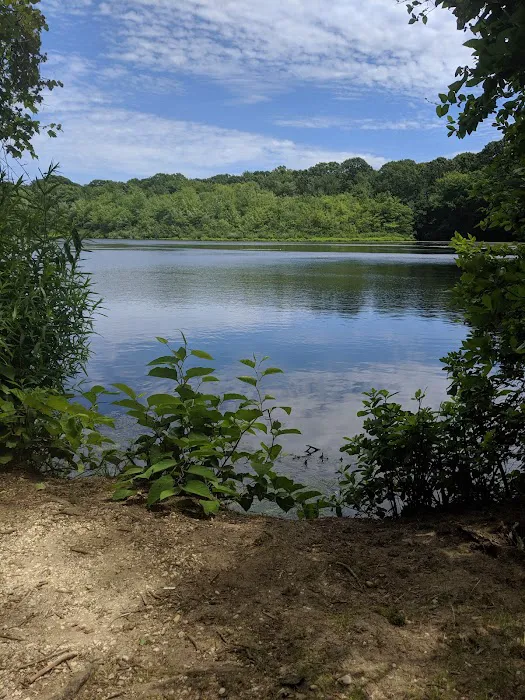 Robert A. Brady Park Picture 6