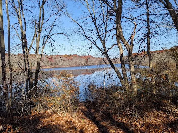 Robert A. Brady Park Picture 4