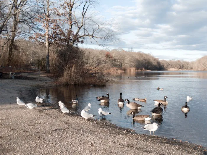 Robert A. Brady Park Picture 2
