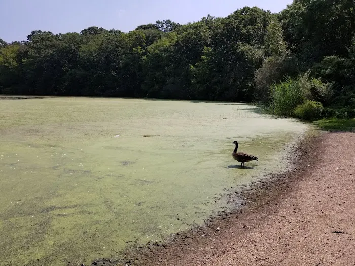 Robert A. Brady Park Picture 8