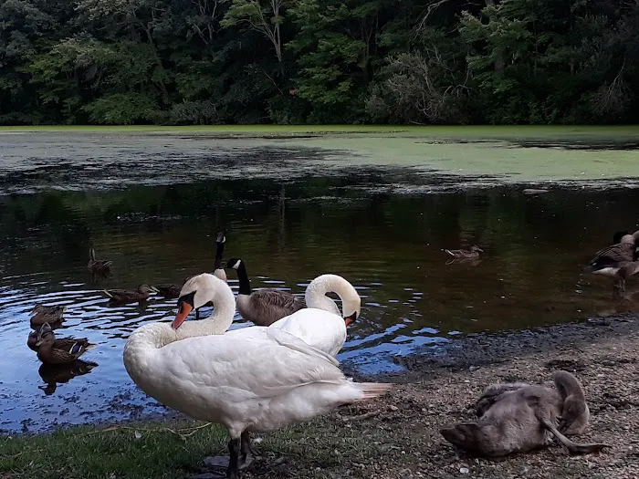Millers Pond County Park Picture 1