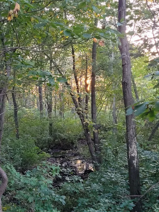 Millers Pond County Park Picture 7