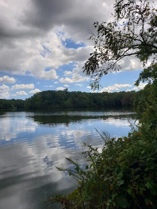 Blydenburgh Park Picture 1