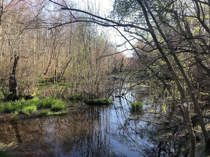 Blydenburgh Park Picture 2