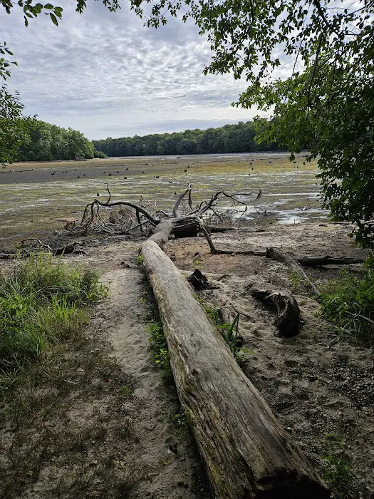 Blydenburgh Park Picture 8