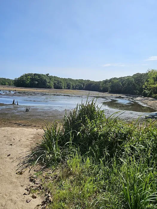 Blydenburgh Park Picture 7