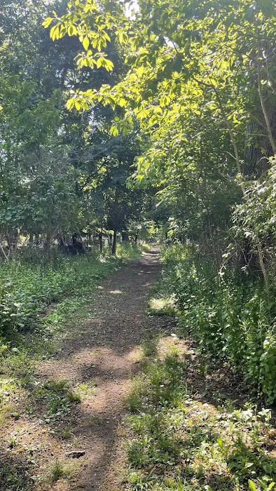 Blydenburgh Park Picture 9