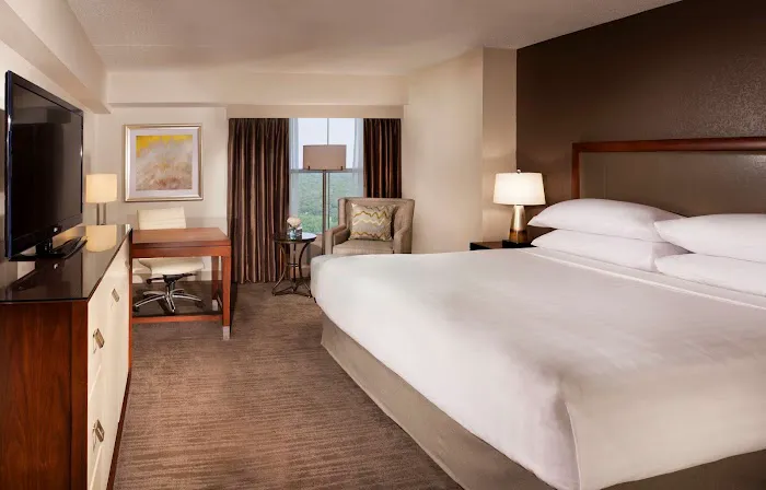 Hyatt Regency Long Island Picture 2