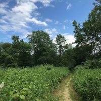 Hunts Pond ico