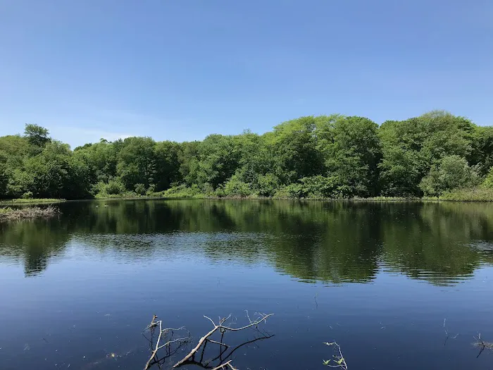 Hunts Pond Picture 3
