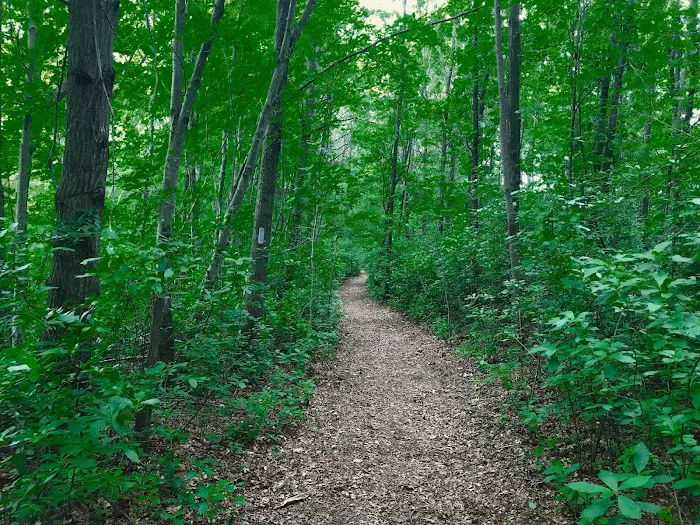 Hunts Pond Picture 9