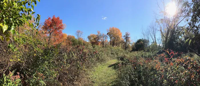 Hunts Pond Picture 7