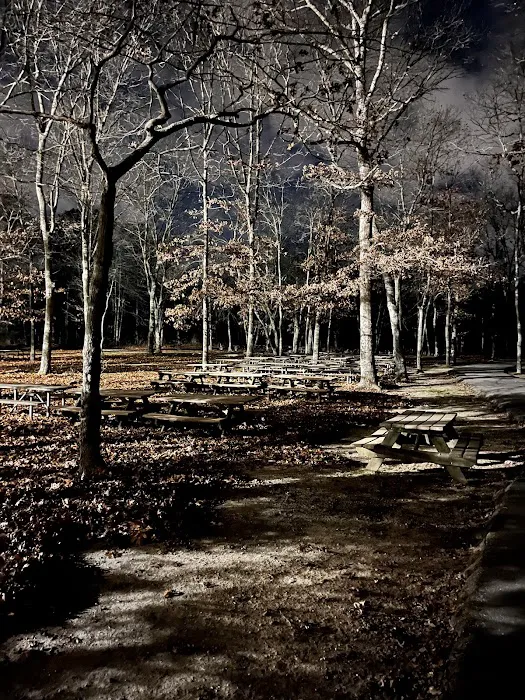 Hidden Pond Park Picture 2