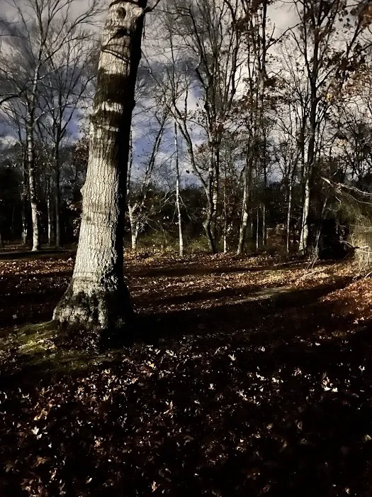 Hidden Pond Park Picture 1