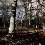 Hidden Pond Park