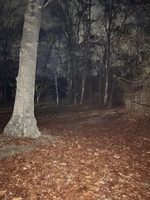 Hidden Pond Park Picture 6