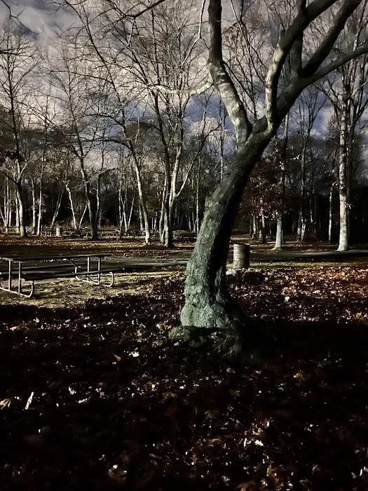 Hidden Pond Park Picture 8