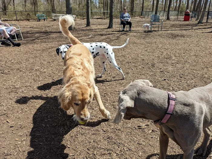Smithtown Nesconset Dog Park Picture 2