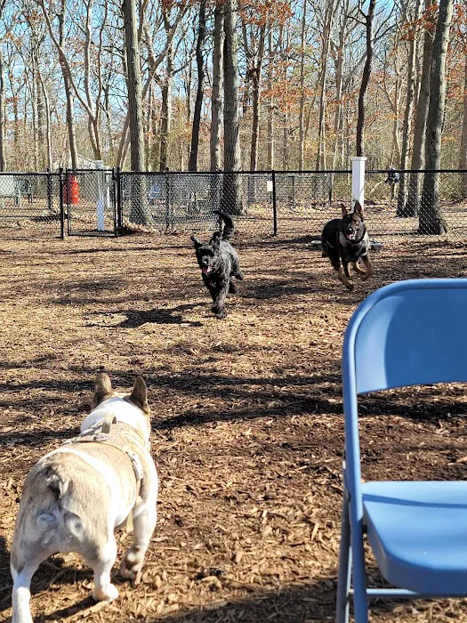 Smithtown Nesconset Dog Park Picture 1