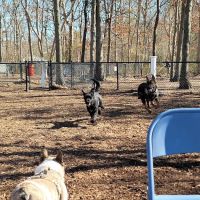 Smithtown Nesconset Dog Park ico