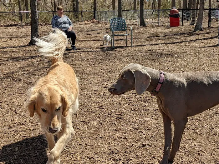 Smithtown Nesconset Dog Park Picture 7