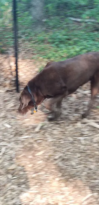Smithtown Nesconset Dog Park Picture 6