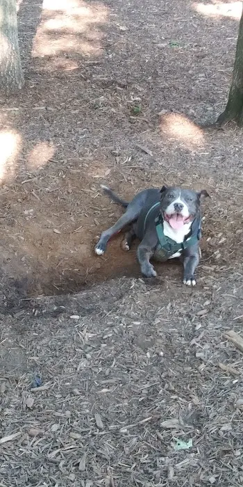 Smithtown Nesconset Dog Park Picture 8