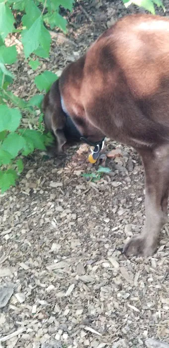 Smithtown Nesconset Dog Park Picture 9