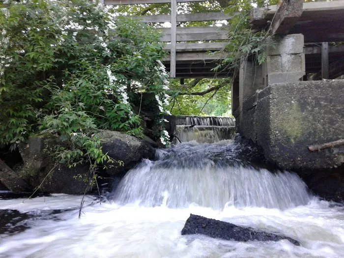Paul T Given Town Park Picture 4