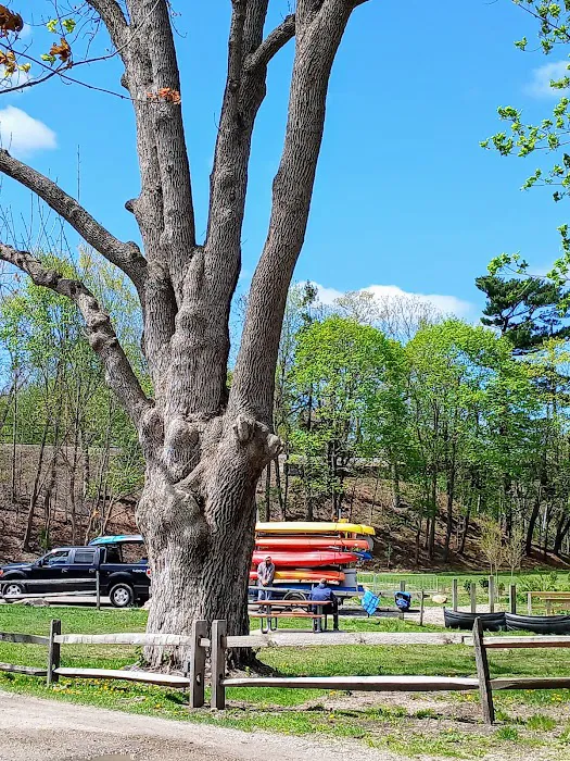 Paul T Given Town Park Picture 7